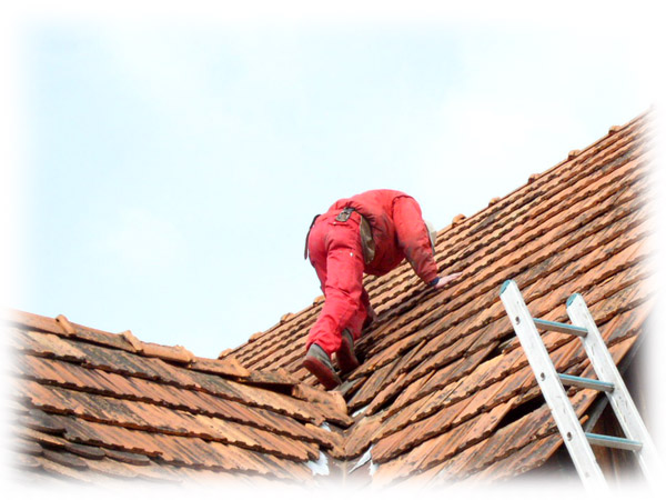 750_fixing-the-roof.jpg