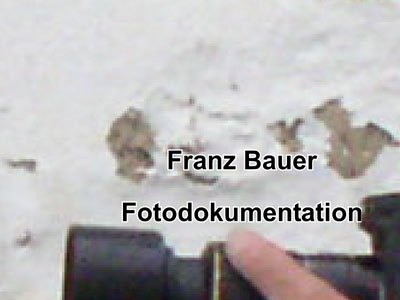 Franz-Bauer-Wd8-0220.jpg